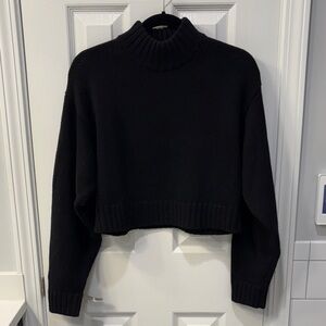 Aritzia Wilfred Free crop sweater